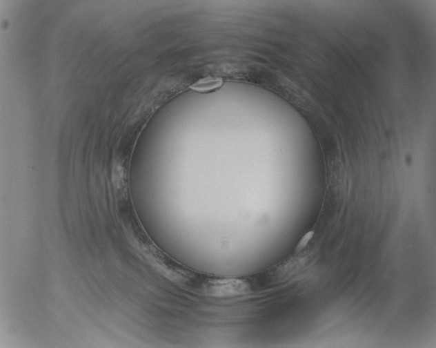 X0000053050087200508011859