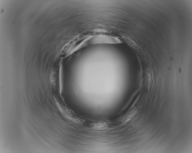 X0000053050088200508011859