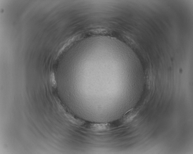 X0000053050089200508011859