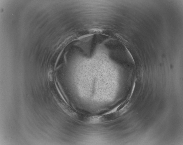 X0000053050090200508011859