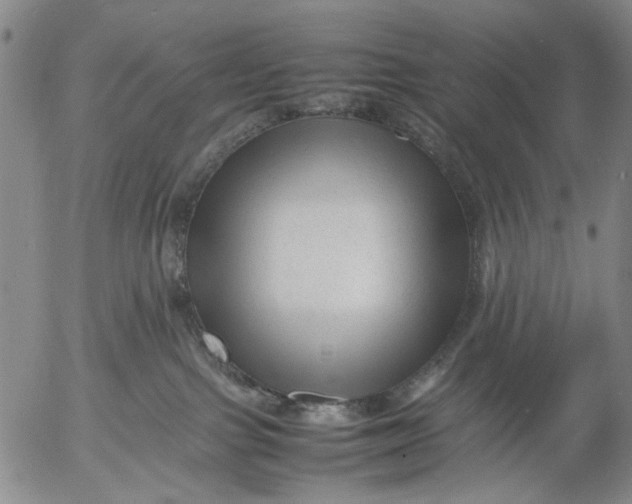 X0000053050091200508011859