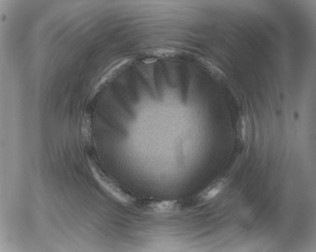 X0000053050092200508011859