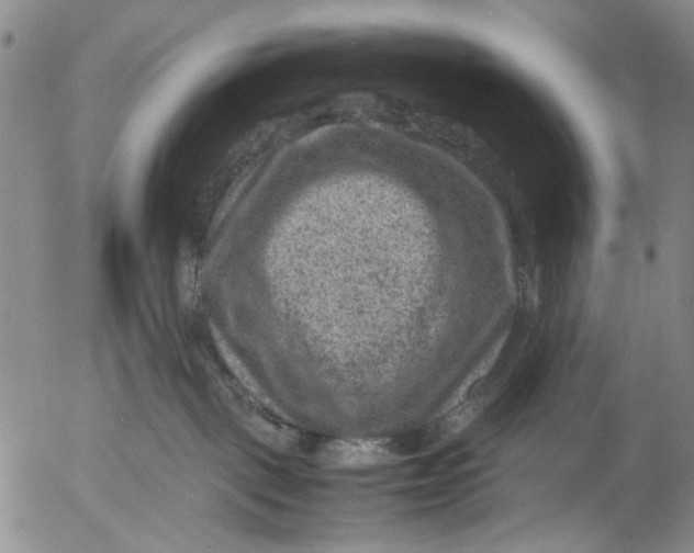 X0000053050093200508011859