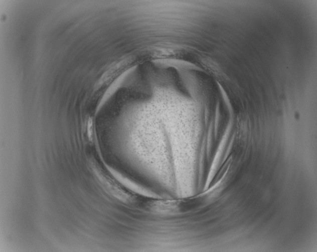 X0000053050094200508011859