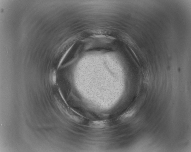 X0000053050095200508011859