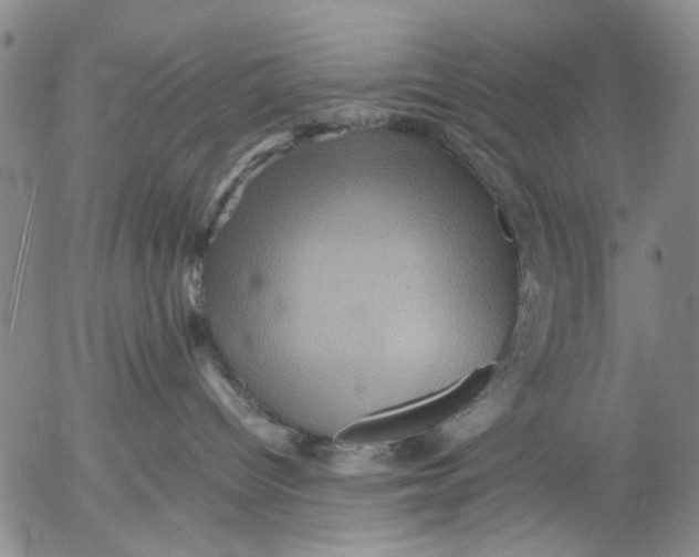 X0000053050096200508011859