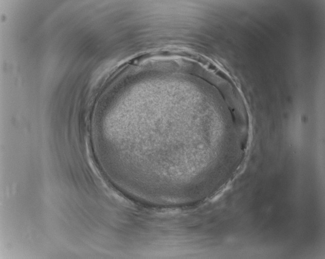 X0000053050097200508011858