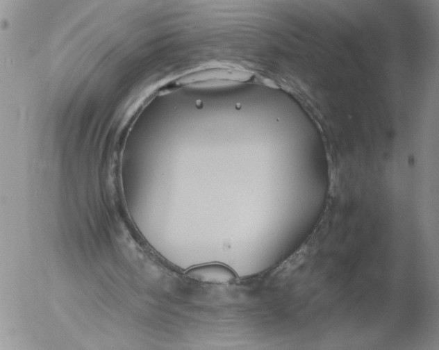 X0000053050098200508011858