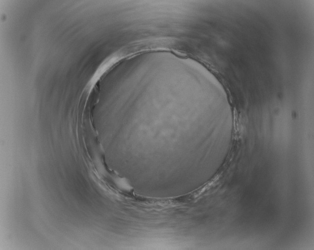 X0000053050099200508011858