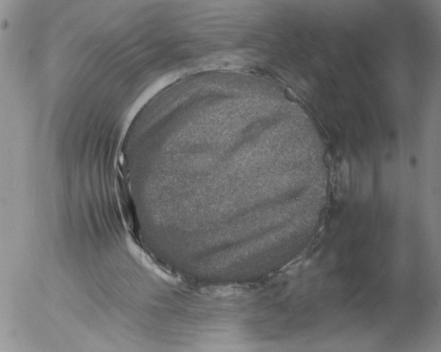 X0000053050100200508011858