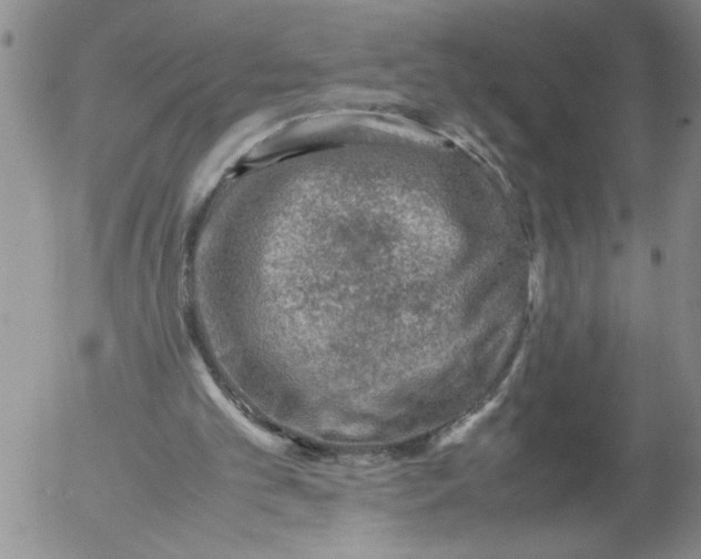 X0000053050101200508011858