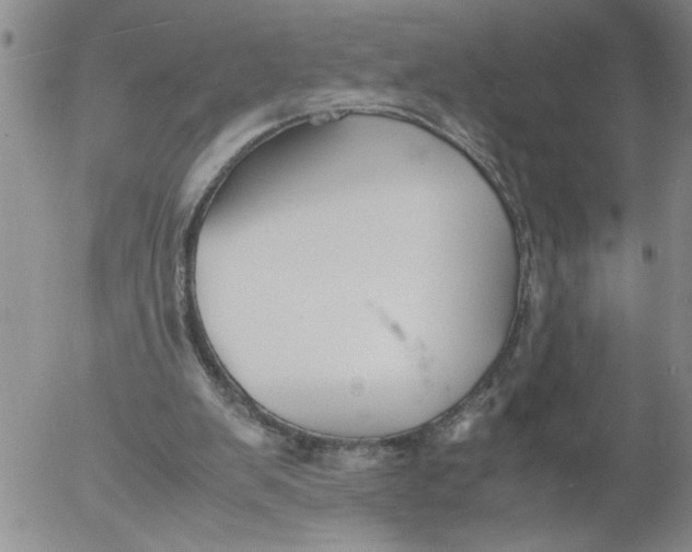 X0000053050103200508011858