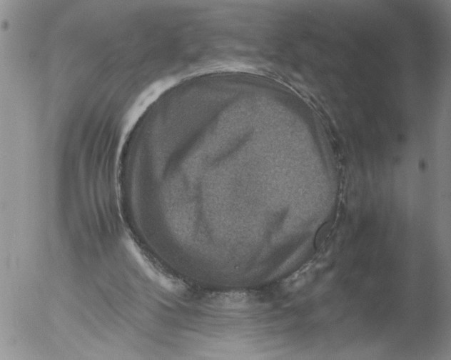 X0000053050104200508011858