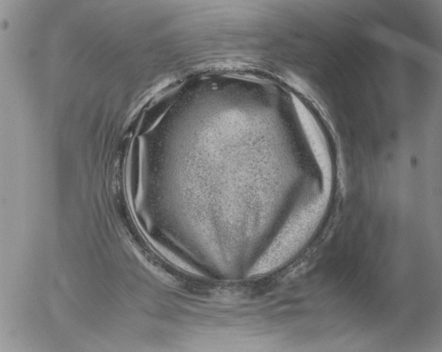 X0000053050105200508011858