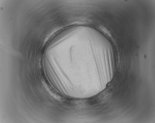 X0000053050106200508011858