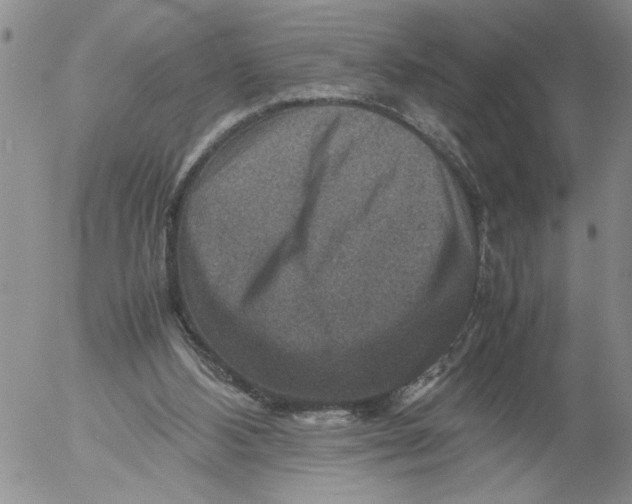 X0000053050108200508011858