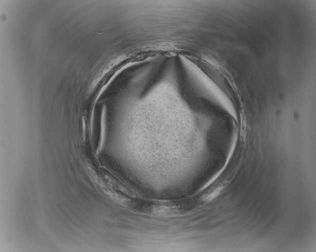 X0000053050109200508011858