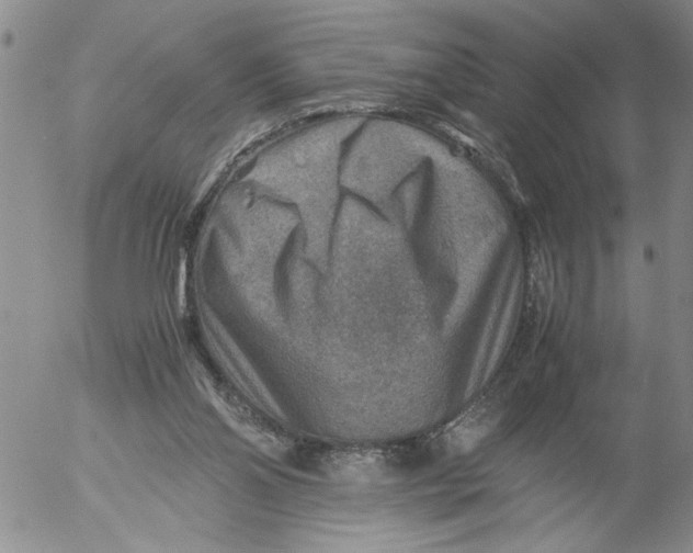 X0000053050110200508011858