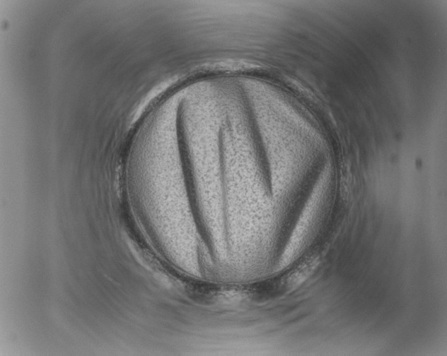 X0000053050111200508011858