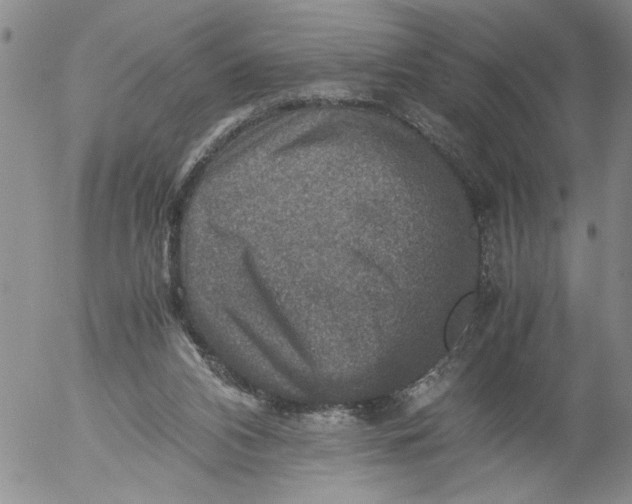 X0000053050112200508011858