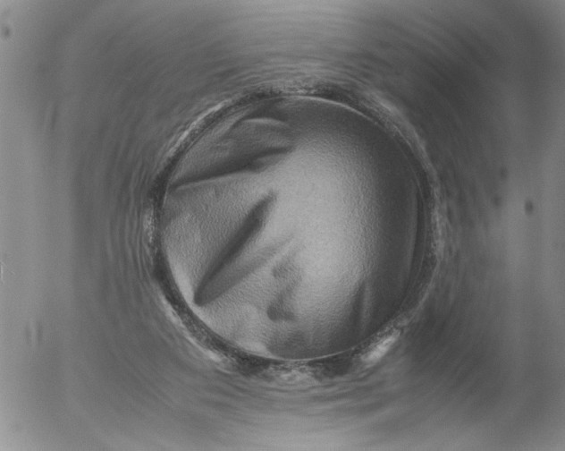 X0000053050113200508011858