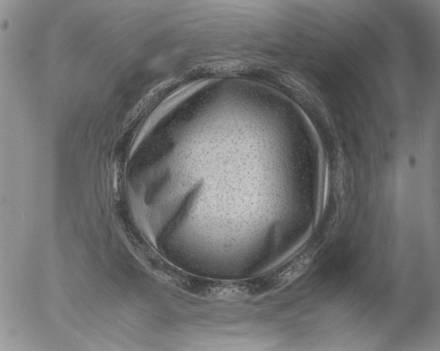 X0000053050115200508011858