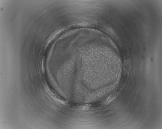 X0000053050116200508011858