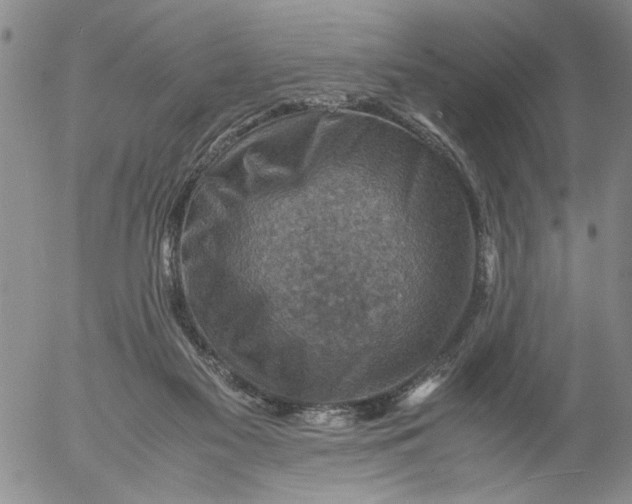 X0000053050117200508011858