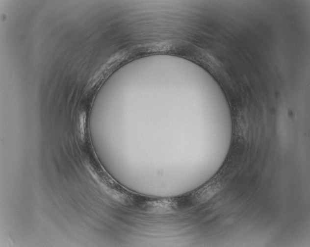 X0000053050118200508011858