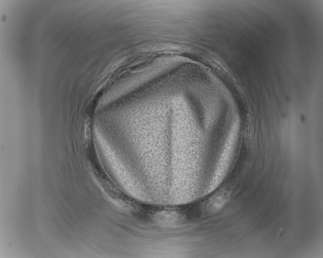 X0000053050119200508011858