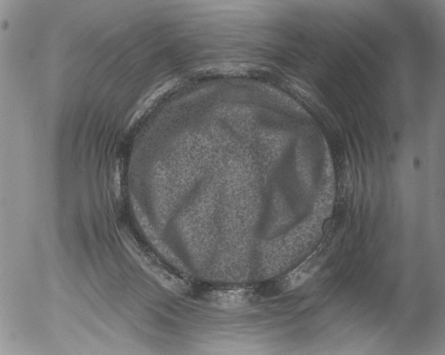 X0000053050120200508011858