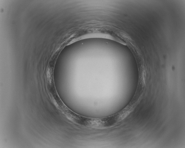 X0000053050121200508011858