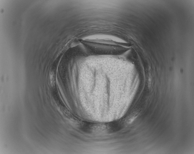 X0000053050123200508011858