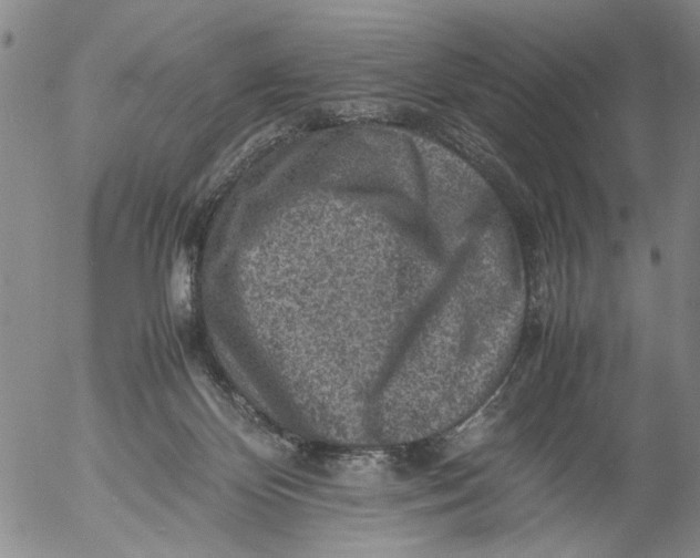 X0000053050124200508011858