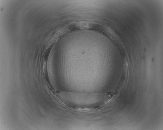 X0000053050125200508011858