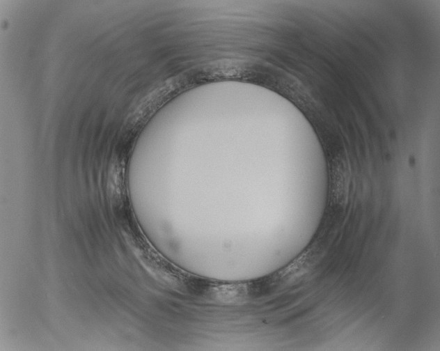 X0000053050126200508011858