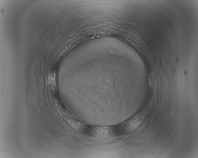 X0000053050127200508011858