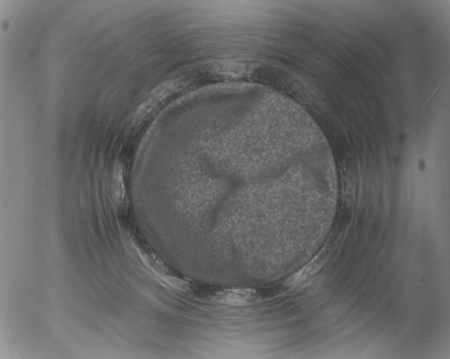 X0000053050128200508011858