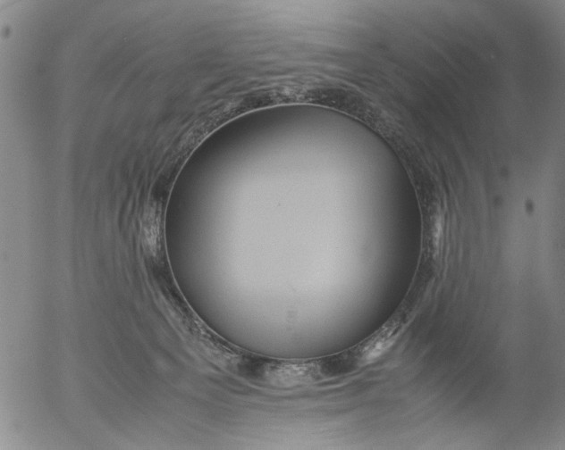 X0000053050129200508011858