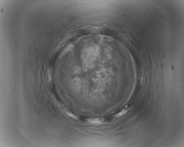 X0000053050131200508011858