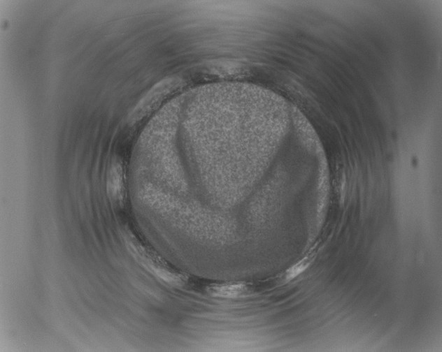 X0000053050132200508011858