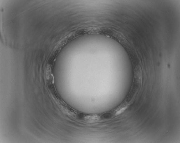 X0000053050133200508011858