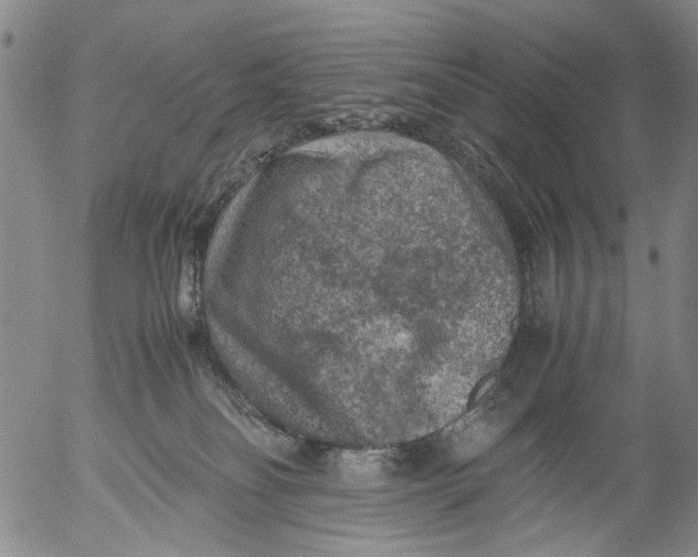 X0000053050134200508011858