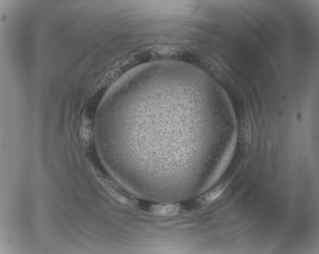 X0000053050135200508011858