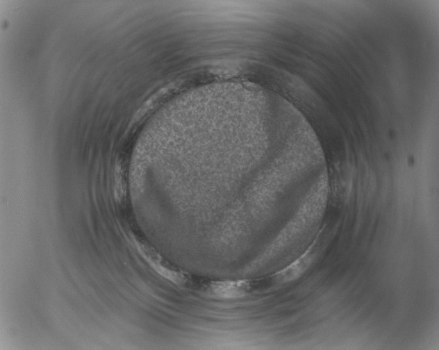 X0000053050136200508011858