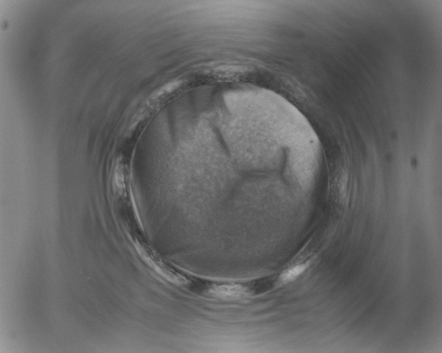 X0000053050137200508011858