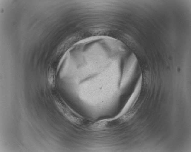 X0000053050138200508011858