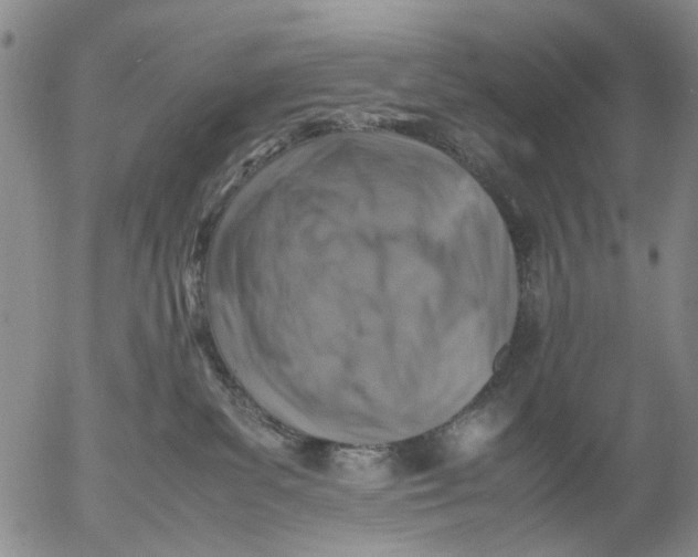 X0000053050139200508011858