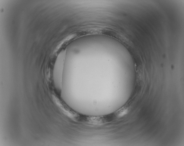 X0000053050141200508011857