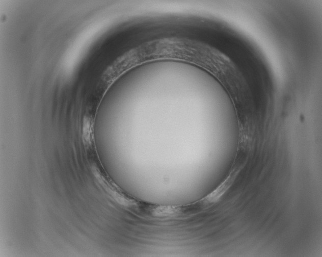 X0000053050142200508011857